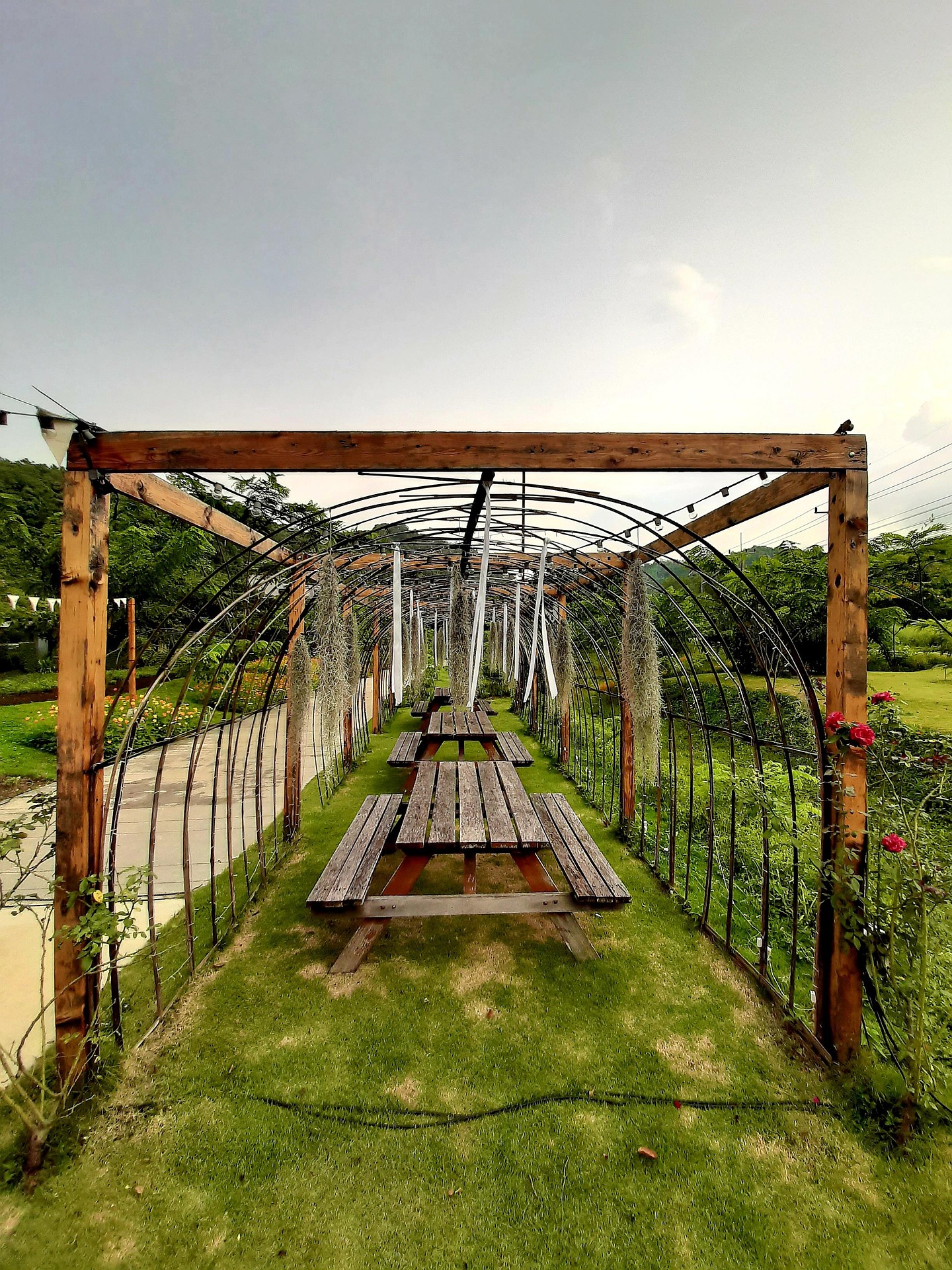 SilverLeaf Grand Hotel